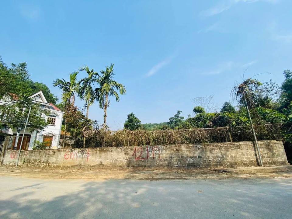 Đất nền Thôn Đồng Cầu, Xã Tứ Quận, 206m² giá 950 triệu - Cơ hội đầu tư tuyệt vời!