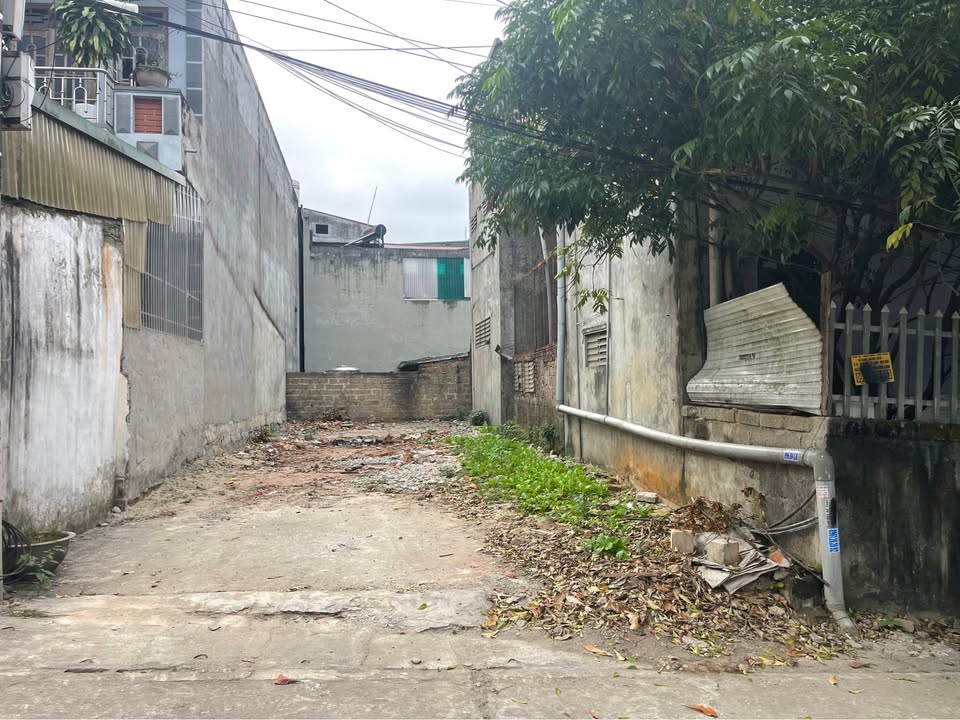 Đất thổ cư Tổ 9 Hưng Thành 90m² - Không ngập, sẵn sàng xây dựng!