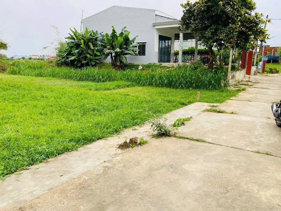 Đất nền Điện Tiến, Điện Bàn 300m² giá 865 triệu - Cơ hội đầu tư không thể bỏ qua!