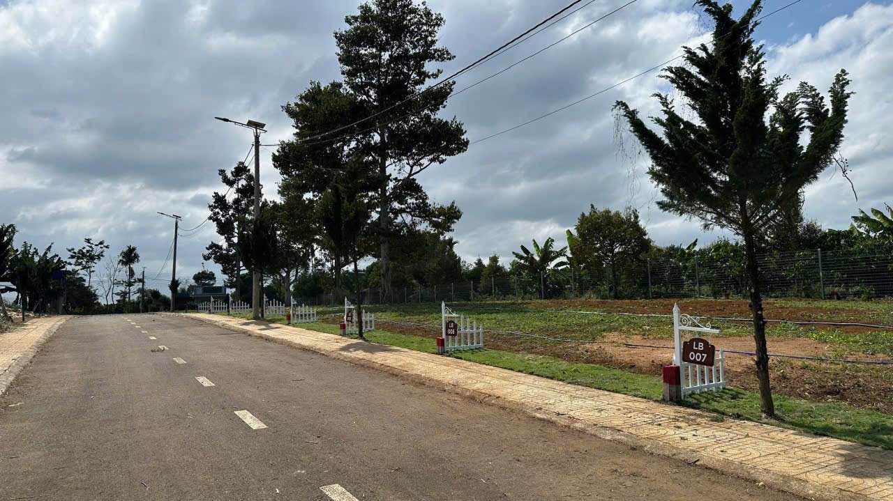 Đất nền Lộc An, Long Thành 115m² giá 650 triệu - Sổ đỏ chính chủ, đầu tư ngay!