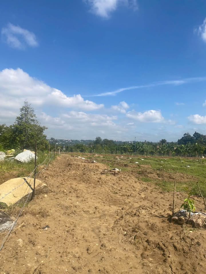 Đất thổ cư 720m² tại Đường Chi Lăng, Thủ Đức - Sổ đỏ chính chủ giá 1.6 tỷ!