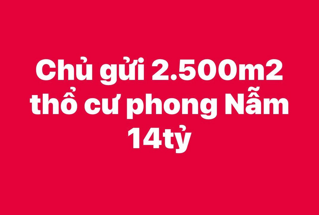 Đất nền Phong Nẫm 2500m² - Sổ đỏ chính chủ, giá thỏa thuận