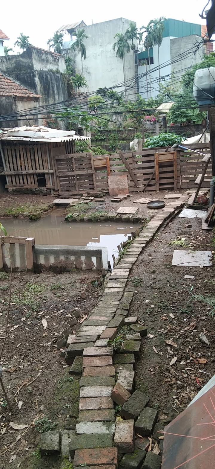 Đất nền Lĩnh Nam, Hoàng Mai, 140m² giá 16.8 tỷ - Đầu tư sinh lời ngay!