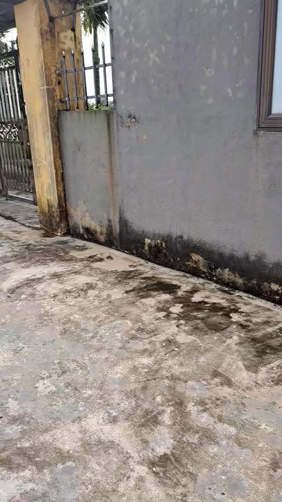 Đất thổ cư xã Giao Thủy, Nam Định 1389m² giá 2.222 tỷ - Đầu tư sinh lời ngay!