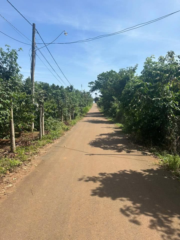 Đất nền 7200m² khu dân cư Đông, Tân Đông Hiệp, 2.4 tỷ - Cơ hội đầu tư tuyệt vời!