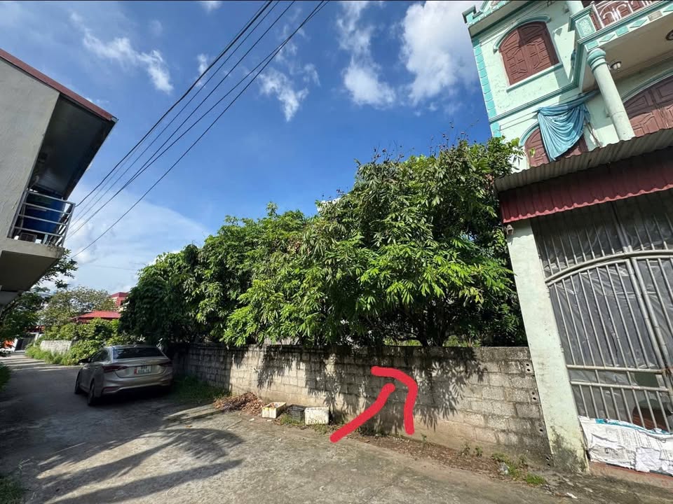 Đất nền Nhân Dục, Phố Hiến 128.8m² giá 4.636 tỷ - Đầu tư sinh lời ngay