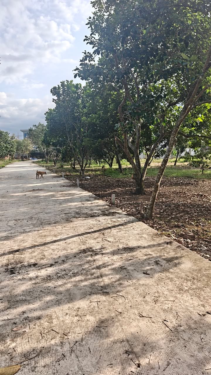 Đất thổ cư 105m² tại Bình Lộc, Long Khánh - Giá chỉ 900 triệu