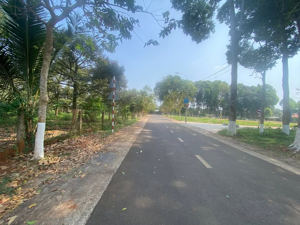 Đất nền Bình Lộc 115m² giá 1.4 tỷ - Vị trí đẹp, thuận tiện kinh doanh!