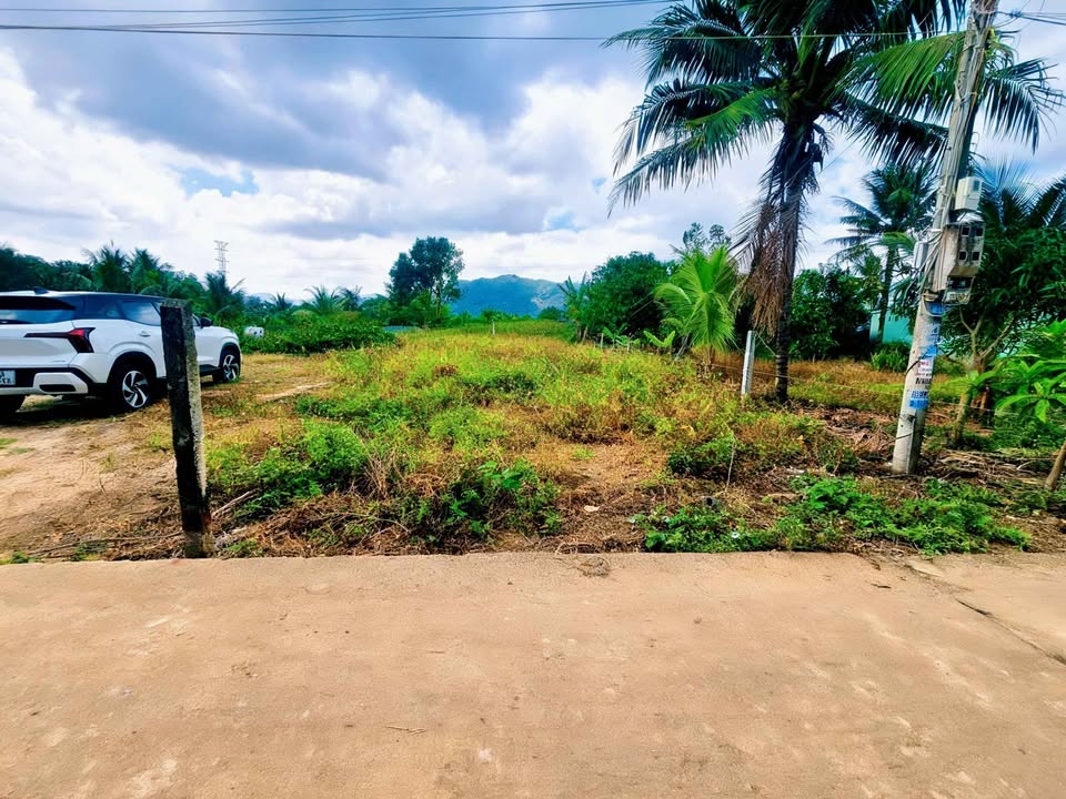 Đất thổ cư Cam Lâm 194.6m² giá đầu tư - Pháp lý rõ ràng!