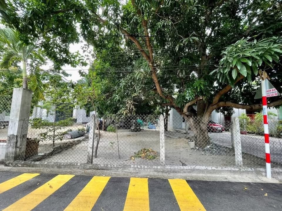 Đất Cam Thành Bắc 301m², Giá 3 Tỷ – Sổ Hồng Chính Chủ, Ngang 8m, Gần Chợ Cam Đức!