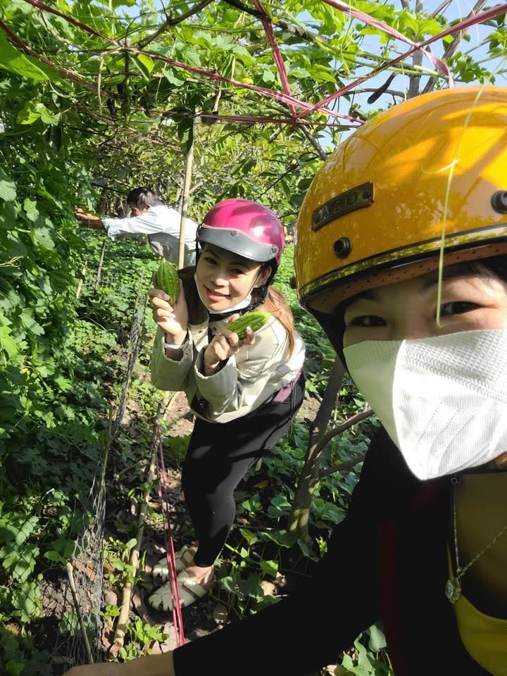 Nhà vườn Xã Bình Mỹ 500m² giá 4 tỷ - Không gian xanh lý tưởng!