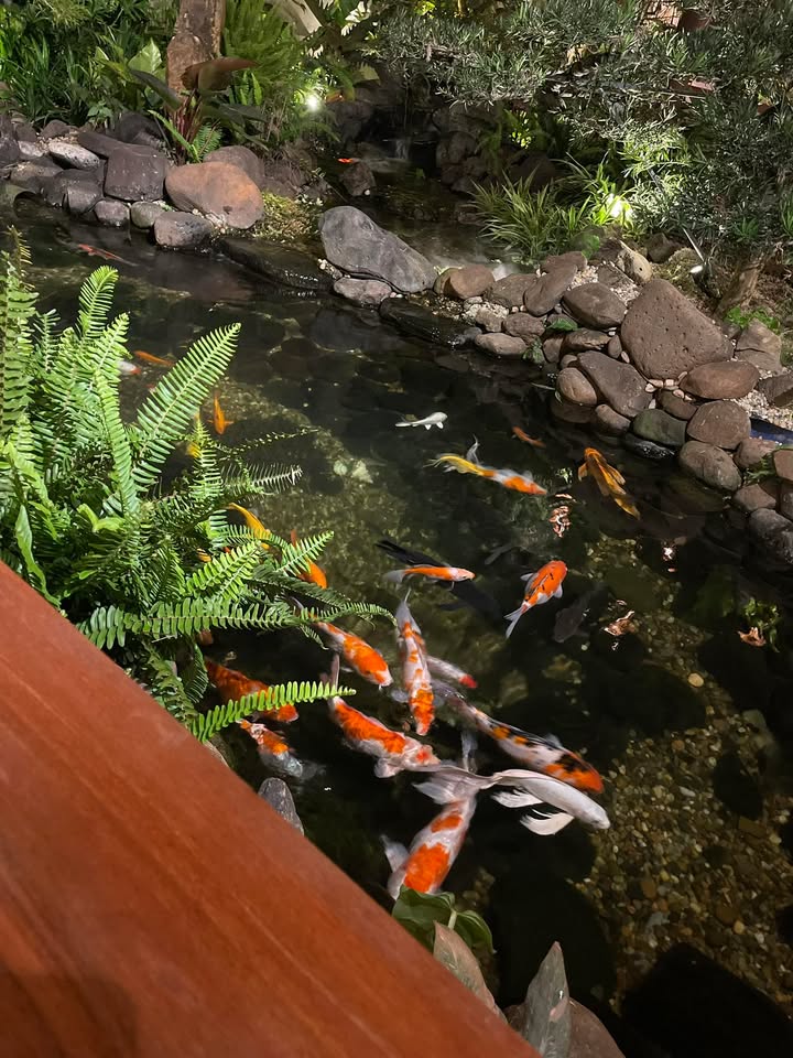 Đất nền C4 Nghĩa Thành 914m² giá thỏa thuận - Nở hậu thuận lợi