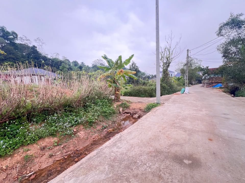 Đất nền khu 1 thị trấn Thanh Thủy 130m² giá 1 tỷ - Cơ hội đầu tư tuyệt vời!