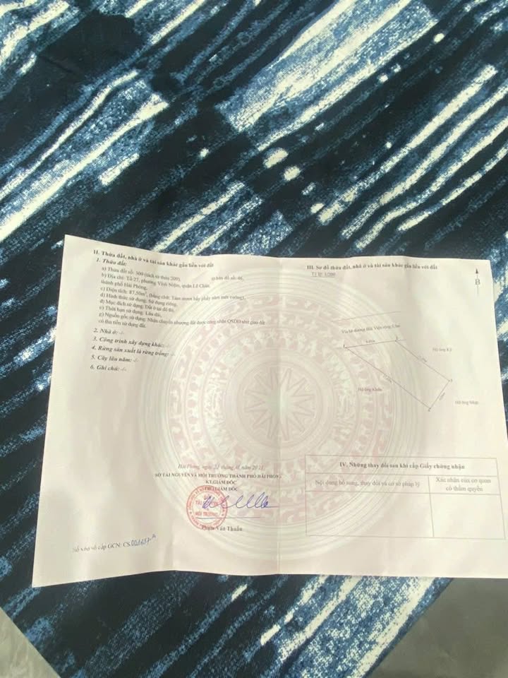 Đất mặt tiền Bùi Viện, Quận 1, 87m² giá chỉ 8.7 tỷ - Cơ hội đầu tư vàng!