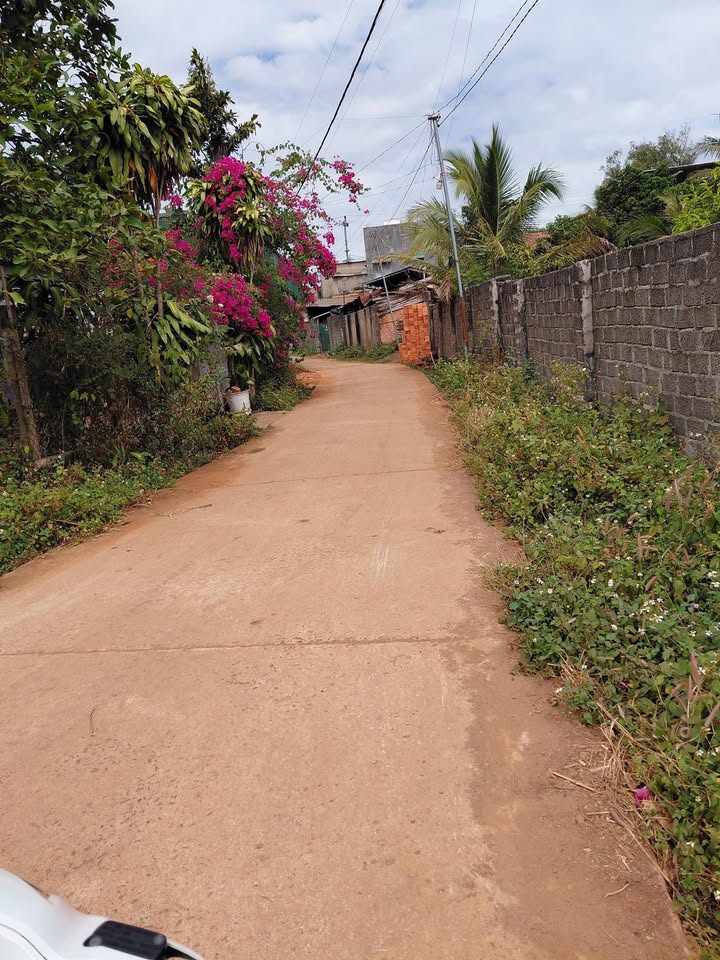 Đất nền xã Quảng Tiến, huyện Cư M'gar, 259m² - Giá chỉ 1.25 tỷ!