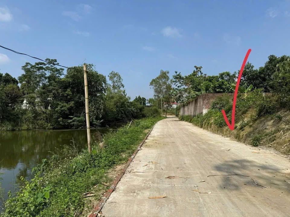 Đất nền 100m² Thôn Mé, Xã Hướng Đạo, Vĩnh Phúc - Bán gấp giá chỉ 100 triệu!