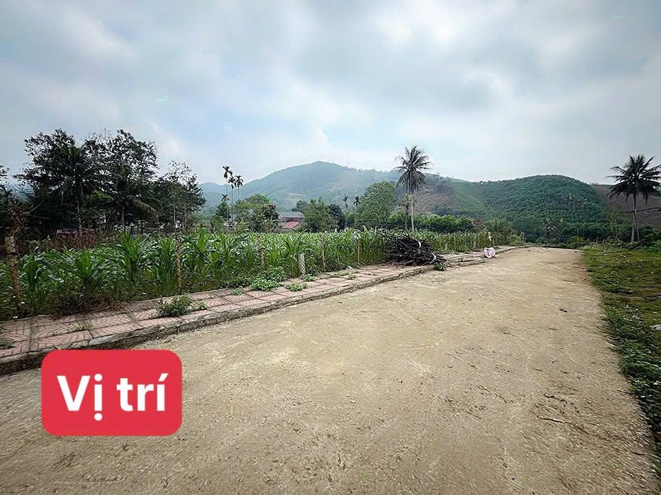 Đất nền thổ cư 92m² tại thôn Vân Thịnh, Ngọc Lặc chỉ 100 triệu - Cơ hội đầu tư tuyệt vời!