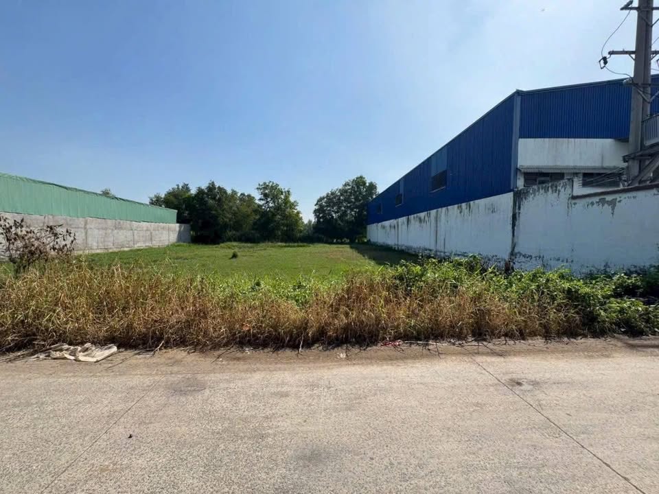 Đất nền Ấp 2, Xã Đức Hòa Đông, 1160m² - Đầu tư kho xưởng lý tưởng!