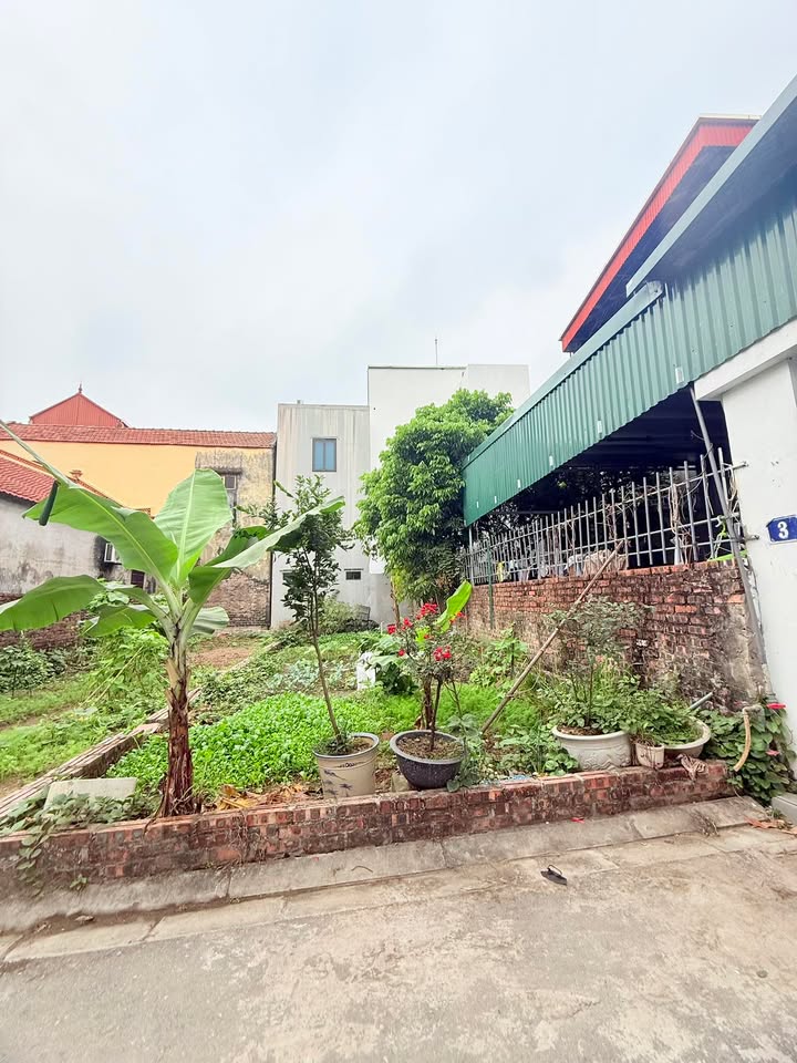 Đất Ngọc Động, Đa Tốn 55m² giá dưới 4 tỷ - Cơ hội đầu tư hiếm có!