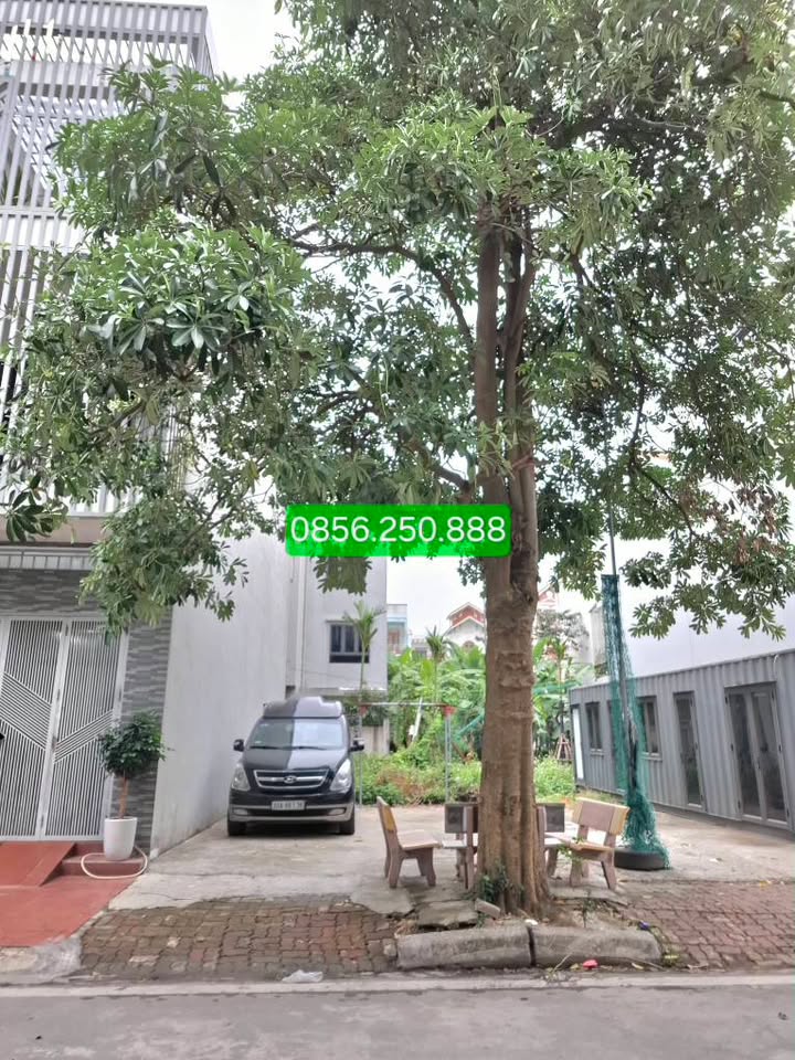 Lô đất đẹp mặt phố Lưu Chí Hiếu, Nam Định 72m² giá 4.15 tỷ - Đầu tư lý tưởng!