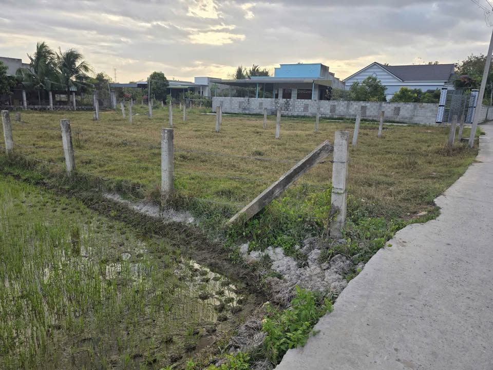 Đất thổ cư 110m² tại KDC Rạng Đông, Hàm Thuận Bắc - Giá chỉ 650 triệu!