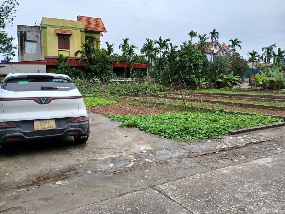 Đất nền thôn Nội Doanh, Đông Ninh, Hưng Yên 79m² giá chỉ 2x triệu - Cơ hội đầu tư tuyệt vời!