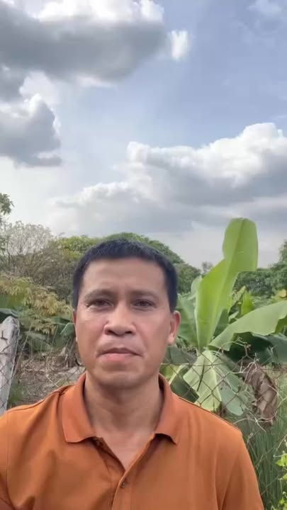 Đất nền Vĩnh Phú, Bình Dương 900m² giá chỉ từ 10 triệu/m² - Đầu tư sinh lời!