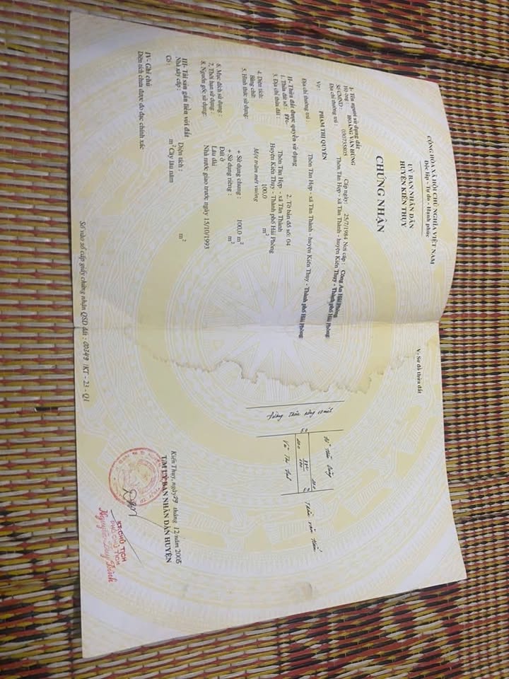 Đất nền Tân Thành - Dương Kinh 100m² giá 2.8 tỷ - Cơ hội đầu tư không thể bỏ lỡ!