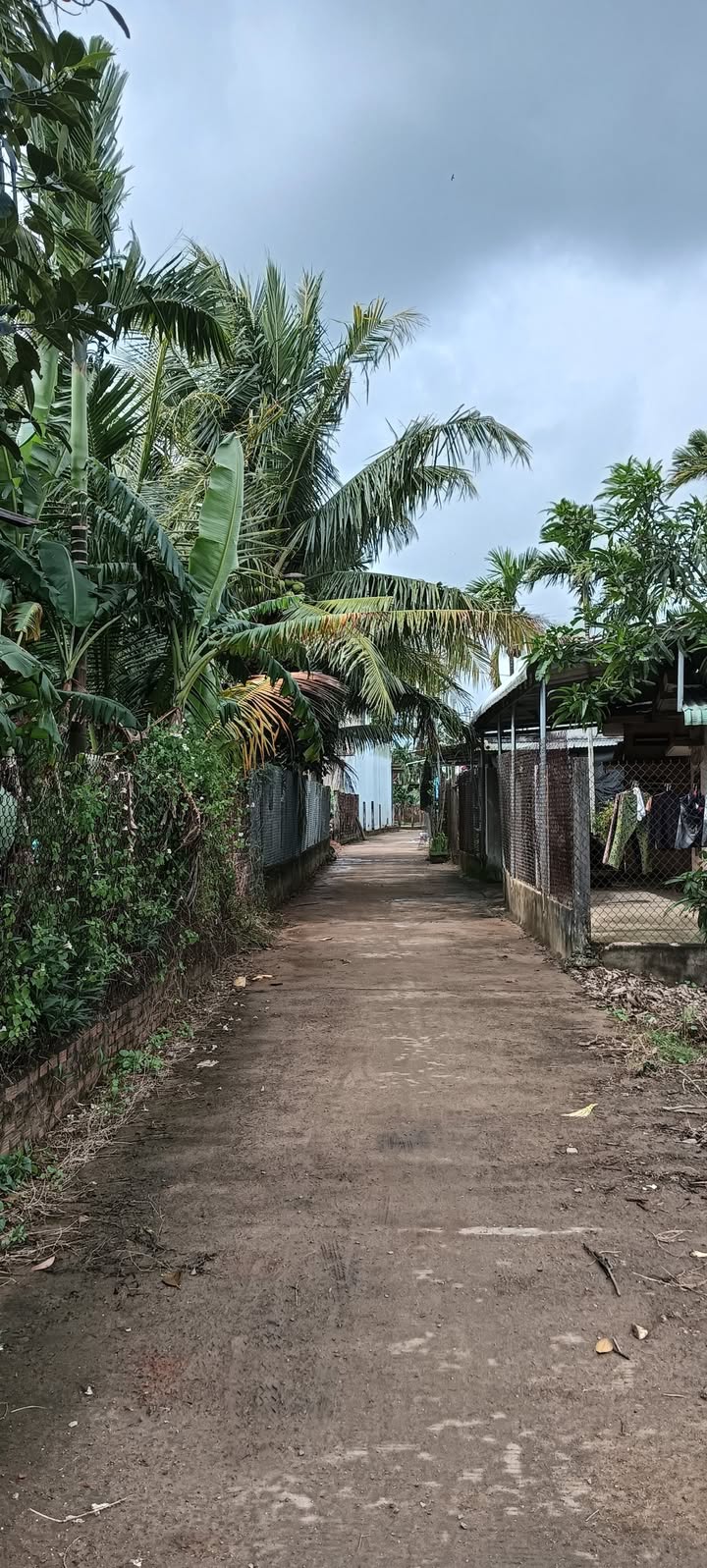 Đất nền Mỏ Cày Quảng Ngãi 192m² giá thỏa thuận - Tiện ích xung quanh hoàn hảo!