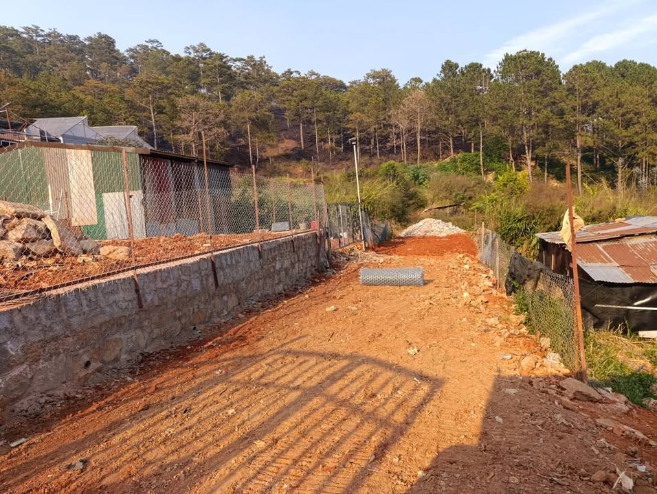 Đất nền Phường 8, Đà Lạt 60m² giá 590 triệu - Đầu tư lý tưởng cho tương lai!