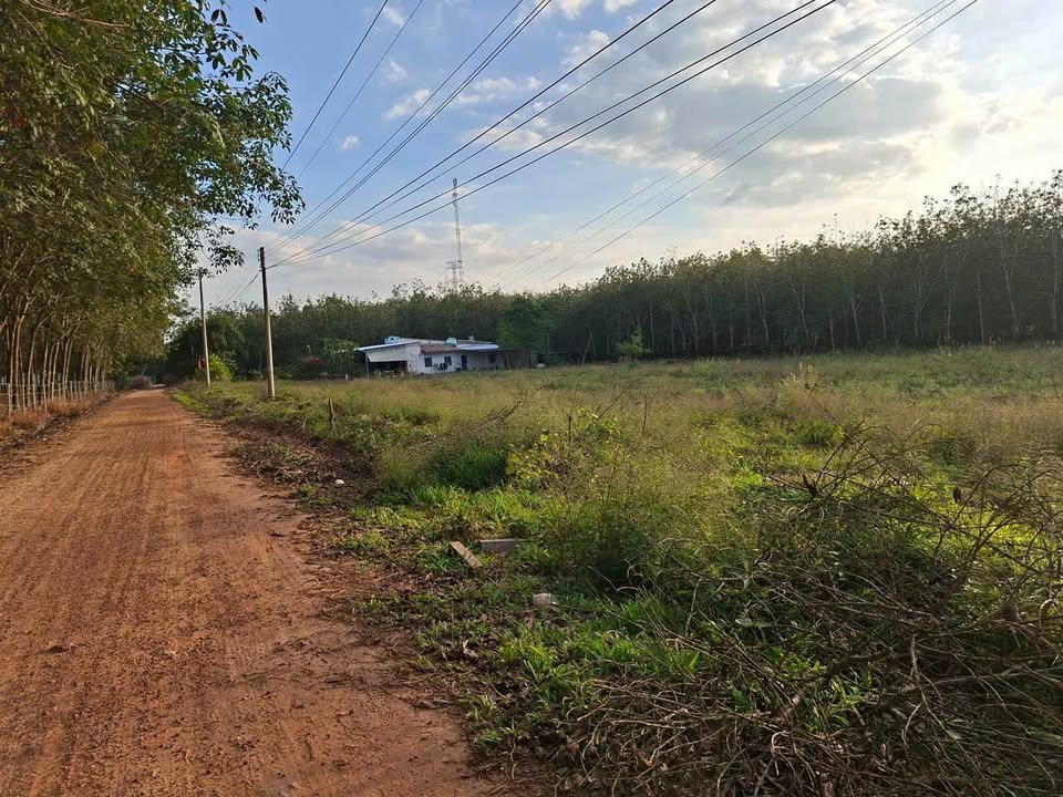 Đất nền 250m² Phường Hưng Long, Thị xã Chơn Thành - Giá chỉ 600 triệu!