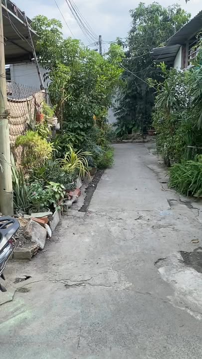 Nhà bán Tân Hiệp Hóc Môn 53m² - Giá thỏa thuận, sẵn sàng vào ở!