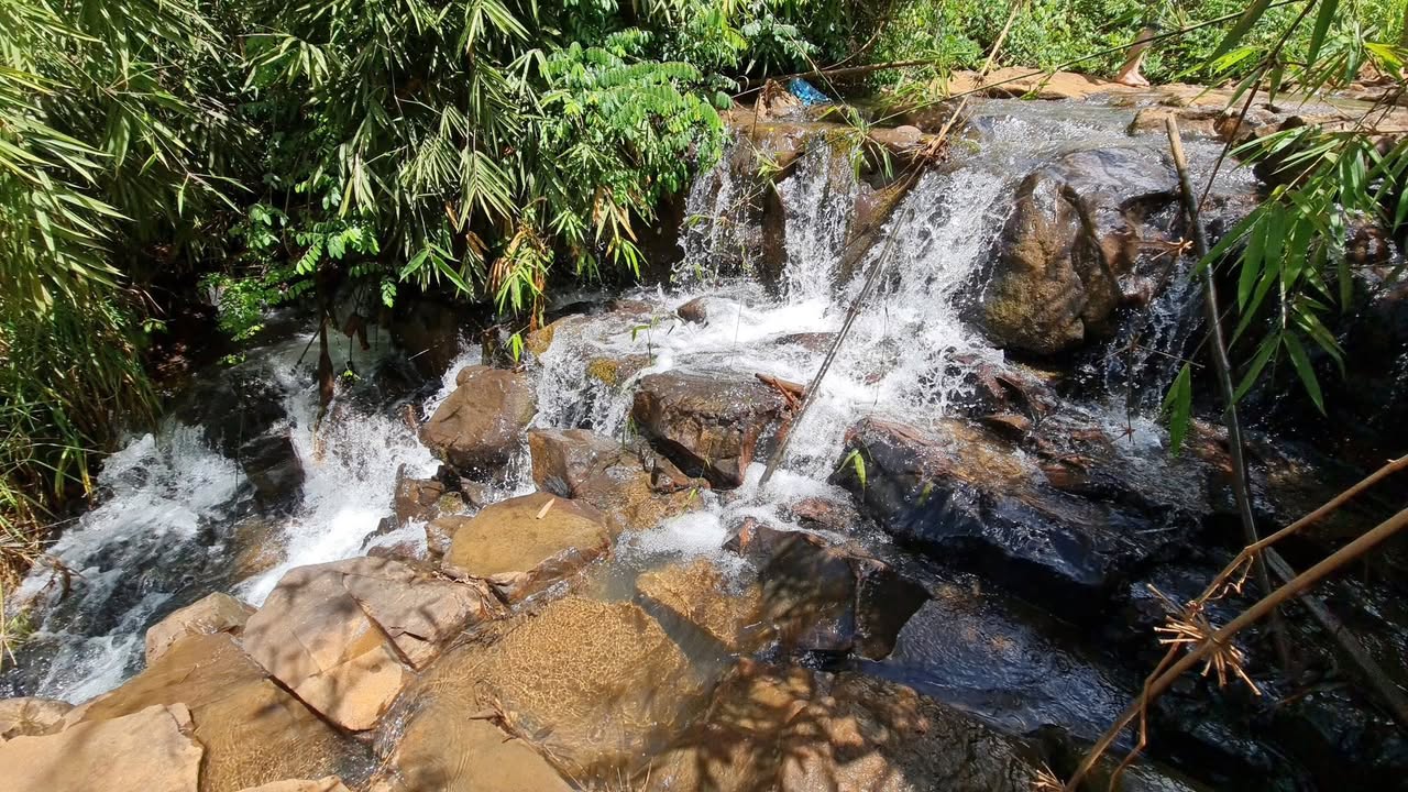 Đất Farm 5.2 Ha tại Thôn Châu Thành, Đắk Ru - Giá chỉ 9.5 tỷ!