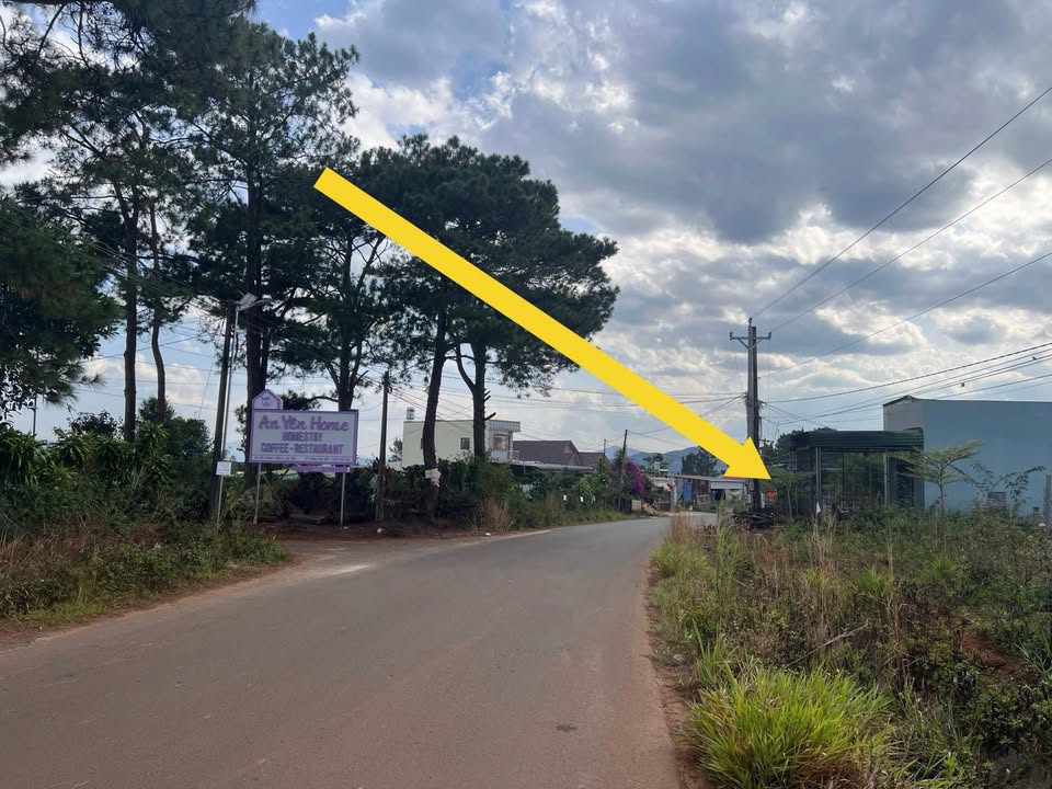 Đất đẹp 1300m² tại Đamb'ri, Bảo Lộc - Sổ đỏ chính chủ, giá 2.55 tỷ!