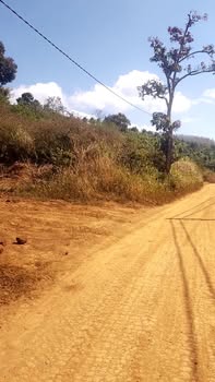 Đất nền 2 sào 4 tại Thuận An, giá 850 triệu - Cơ hội đầu tư tuyệt vời!