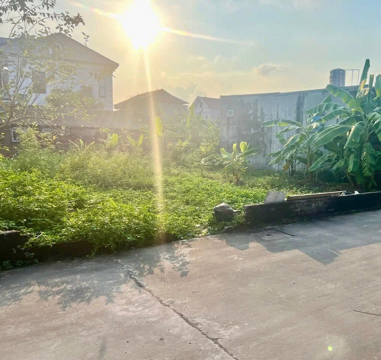 Đất nền thôn Hoàng Dương, Sóc Sơn 128m² giá 3.6 tỷ - Sổ đỏ chính chủ