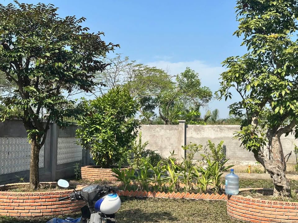 Đất nền 2500m² tại Xã Phước Kiển, Nhà Bè - Giá chỉ 26.25 tỷ, Hẻm xe hơi tận nơi!