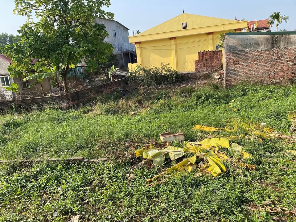 Đất thổ cư Thạch Đà Mê Linh 200m² giá chỉ 3 tỷ - Đường ô tô vào tận nơi!