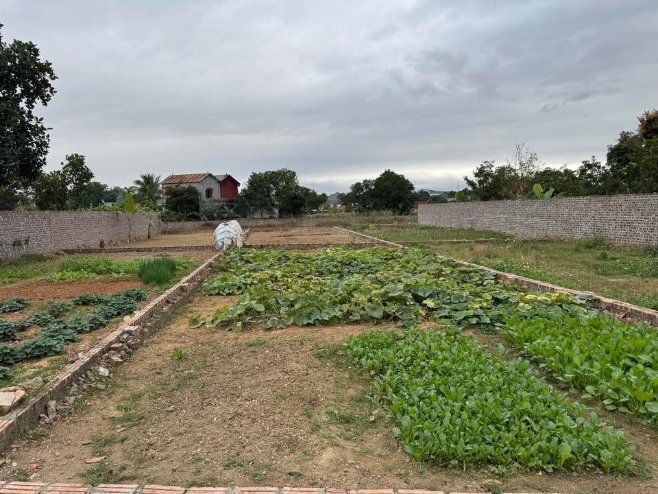 Đất nền 100m² Vụ Bản - Kim Anh, giá 2 tỷ - Đường ô tô vào tận nơi!