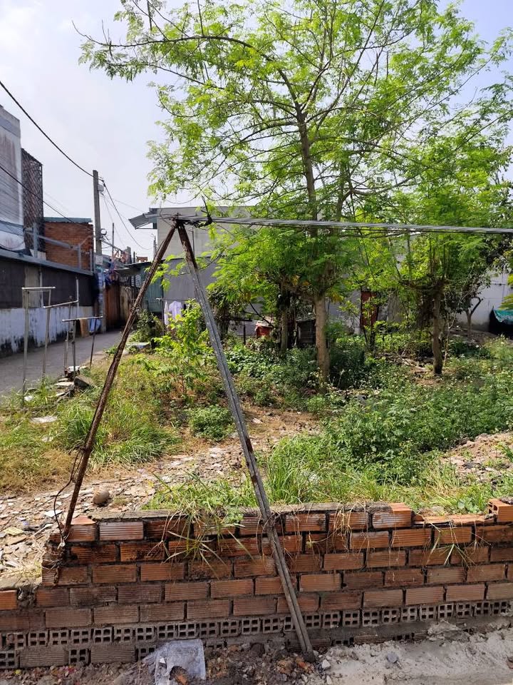 Đất nền Hóc Môn 127m² giá 4.59 tỷ - Lô góc đẹp, pháp lý rõ ràng!