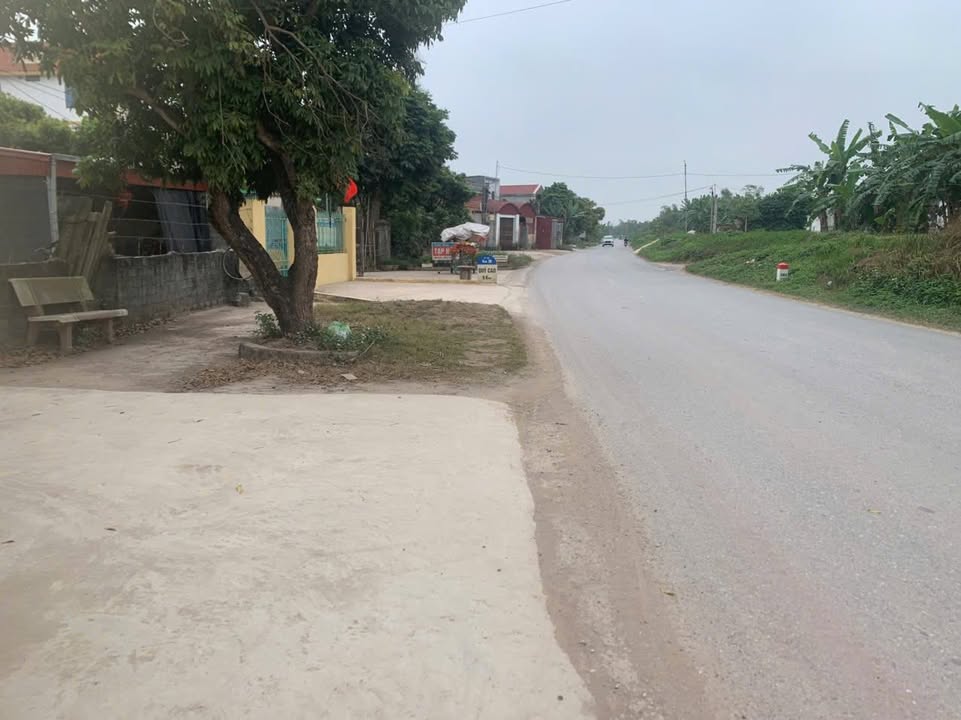 Đất nền xã Đại Hợp, huyện Tứ Kỳ 90m² giá thỏa thuận - Cơ hội đầu tư vàng!