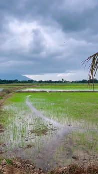 Đất thổ cư Ninh An Ninh Hòa 1450m² giá 699 triệu - Cơ hội đầu tư tuyệt vời!