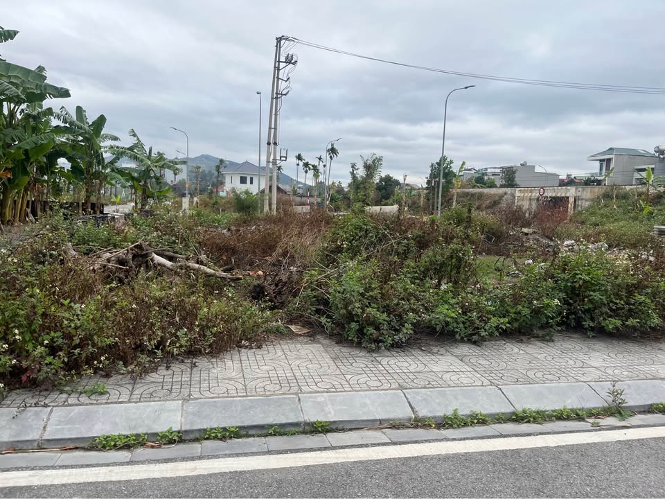 Đất nền Quang Trung Uông Bí 105m² giá 2,1 tỷ - Cơ hội đầu tư tuyệt vời!