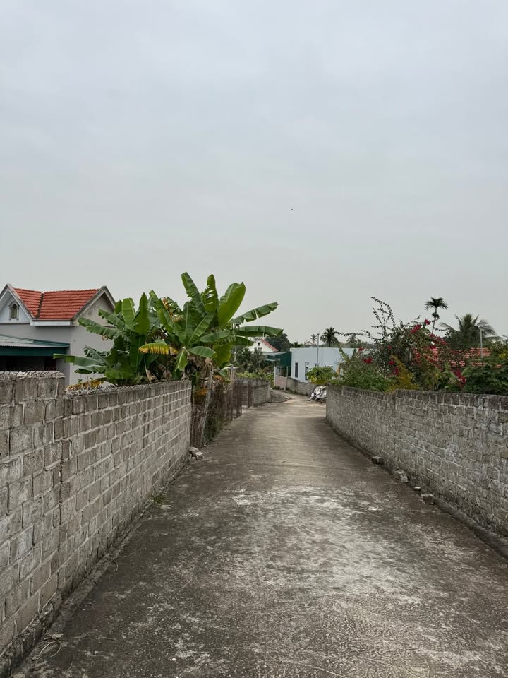 Đất thổ cư thôn Chùa, Tiền An, Quảng Yên 100m² - Vị trí đẹp, an ninh tốt!