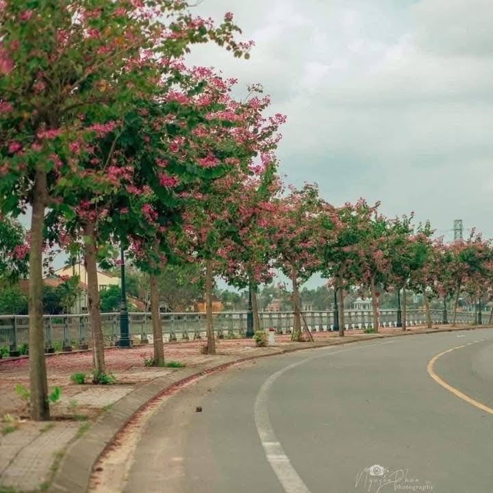 Nhà nguyên căn cho thuê tại 460 Hùng Vương, Hội An 2PN giá 6 triệu - View sông thoáng mát!