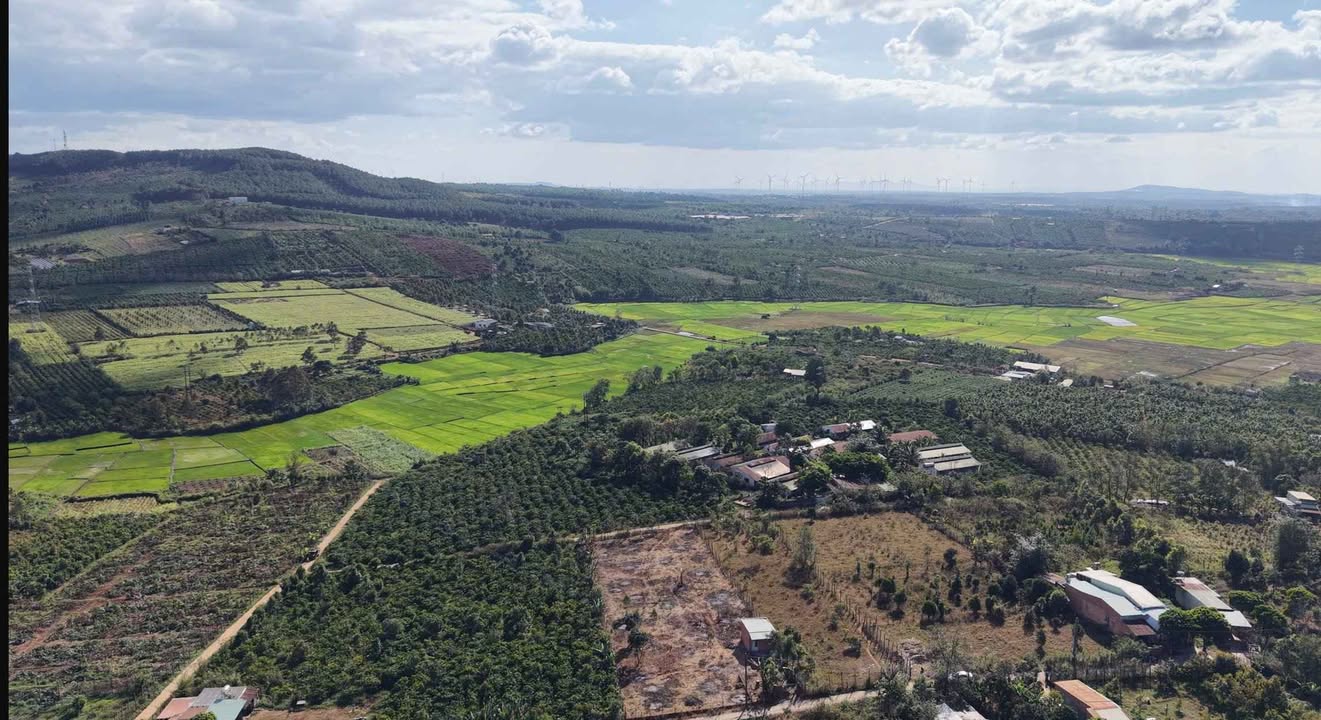 Lô đất đẹp Phường Hội Phú, 432m² giá 700 triệu - Đầu tư sinh lời ngay!