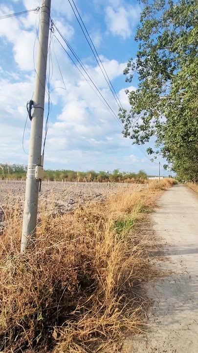 Đất nền 10957m² giá 2.1 tỷ tại Chơn Thành - Cơ hội đầu tư tuyệt vời!