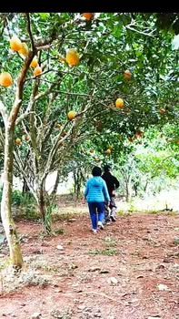 Đất thổ cư 1500m² tại xã Lương Sơn, Hòa Bình - Giá chỉ 4.5 tỷ, cơ hội đầu tư sinh lời!