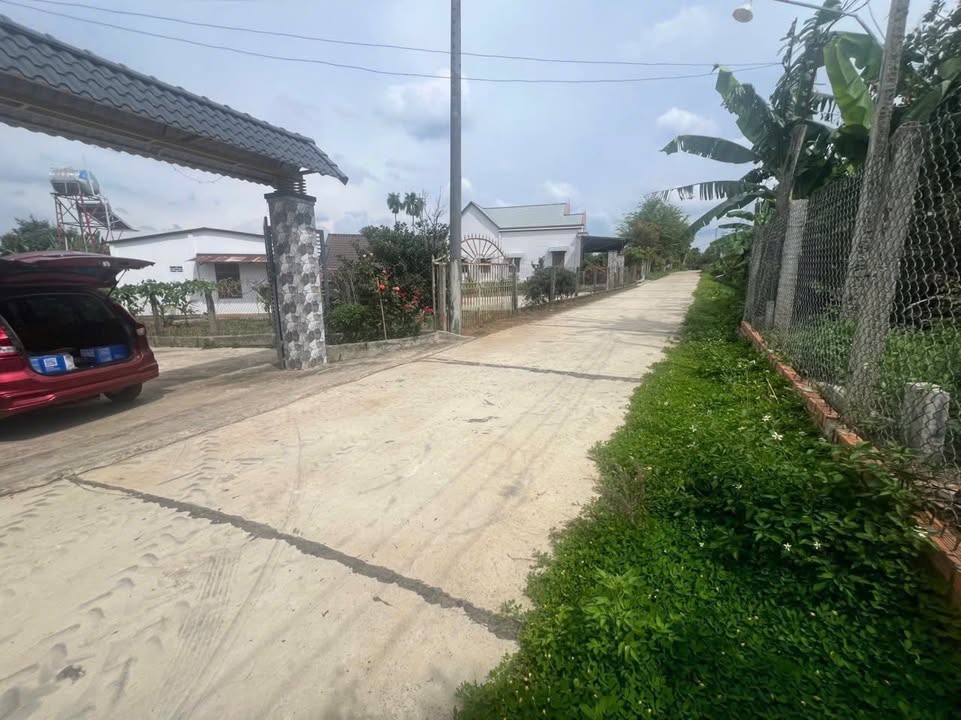 Đất nền mặt tiền đường bê tông xã Ea Ning 60m² giá 229 triệu - Đầu tư sinh lời ngay!