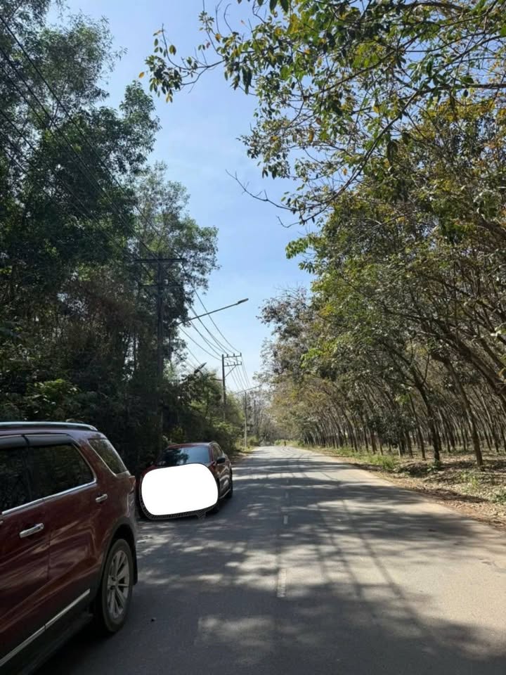 Warehouse 23,000m² tại Tân Mỹ, Bắc Tân Uyên, Bình Dương giá chỉ 40 tỷ - Đầu tư sinh lời ngay!